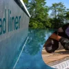 Byta liner I poolen